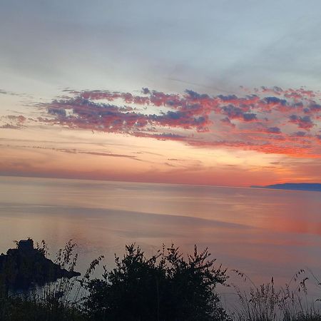 Hotel Villa Principe San Nicola Arcella Dış mekan fotoğraf